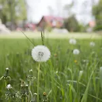 Spreewald شقة بورغ